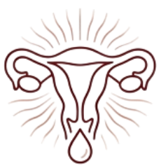 血流改善と子宮内膜の
整備