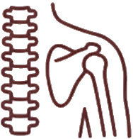 筋・骨格系疾患